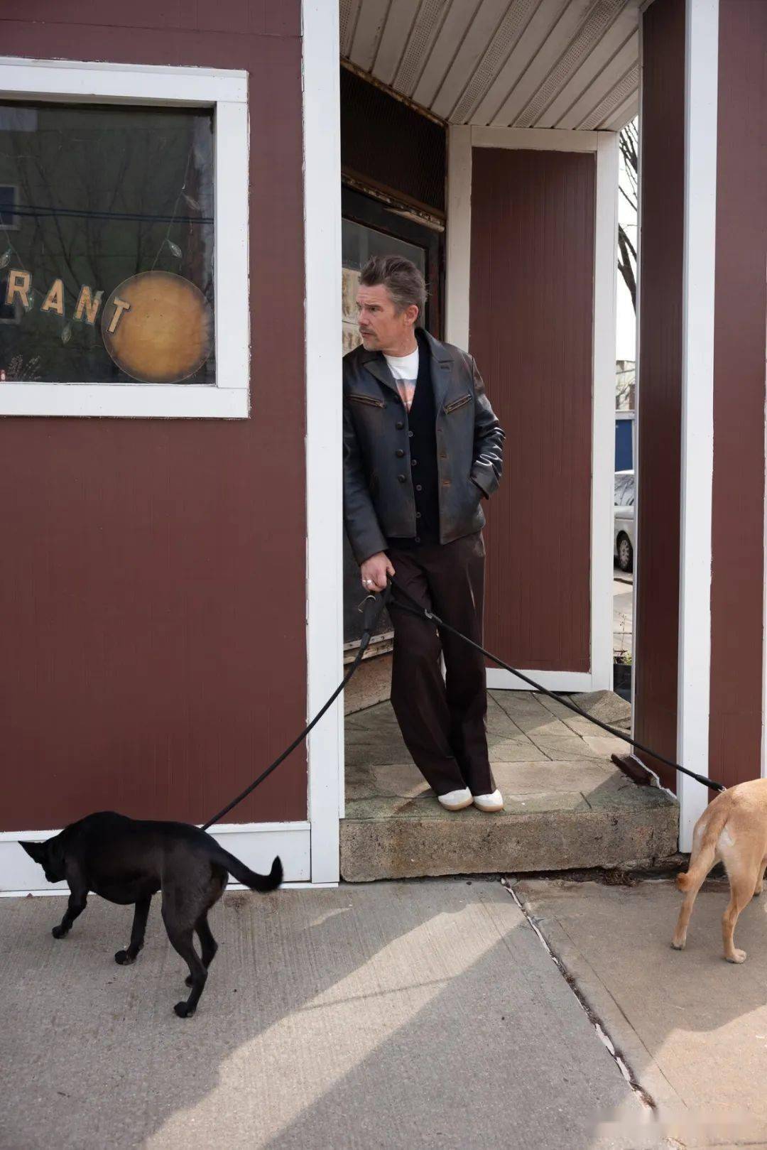 男星伊桑霍克therake杂志封面大片沧桑帅叔魅力十足