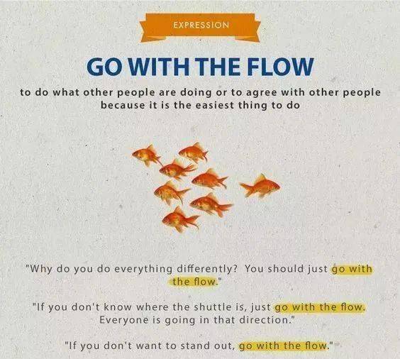 顺其自然 地道英语口语怎么说 The Herd Flow