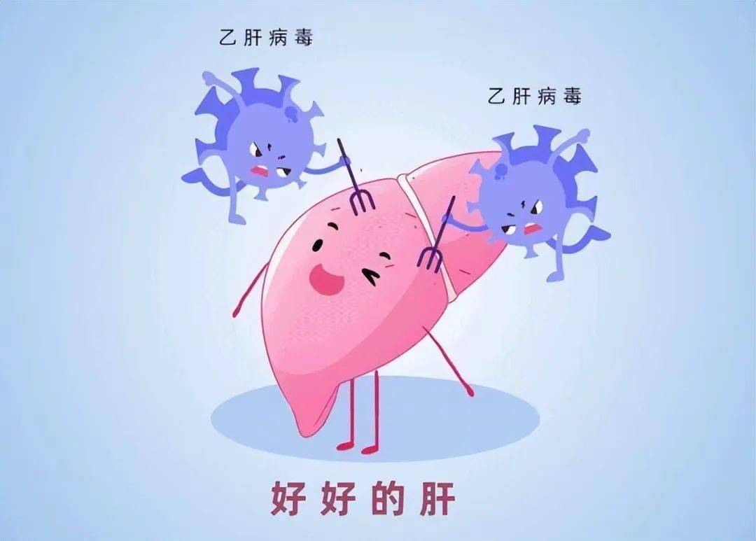 乙肝患者不能吃羊肉吗提醒保护肝脏4类食物建议忌口