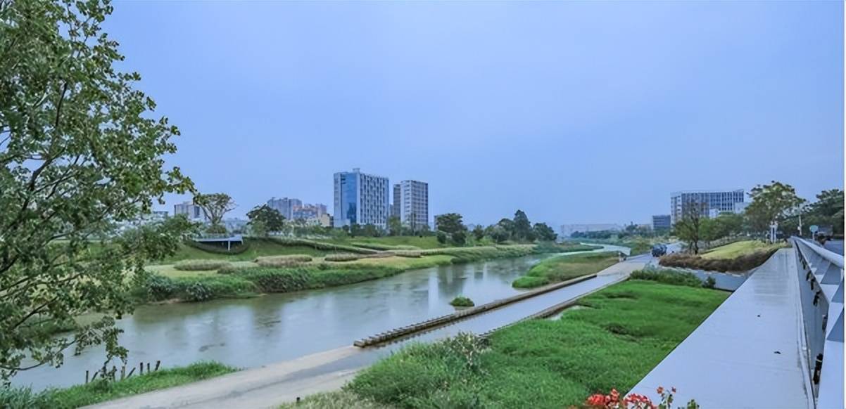 畅游光明"水八景"活动落幕_陂头_市民_深圳