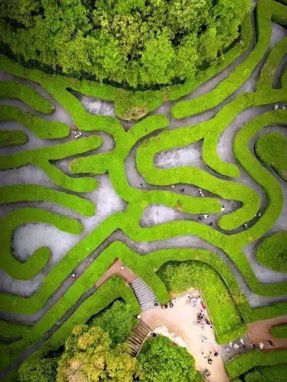 东莞有个植物迷宫可以惬意地迷路