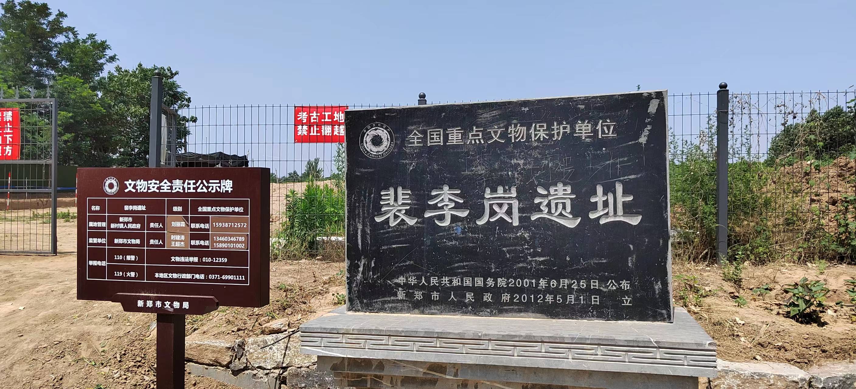 初夏时节的新郑市新村镇裴李岗村道路整洁,阡陌相连,绿树成荫,百花