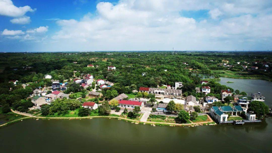 花桥村惠民安民更富民