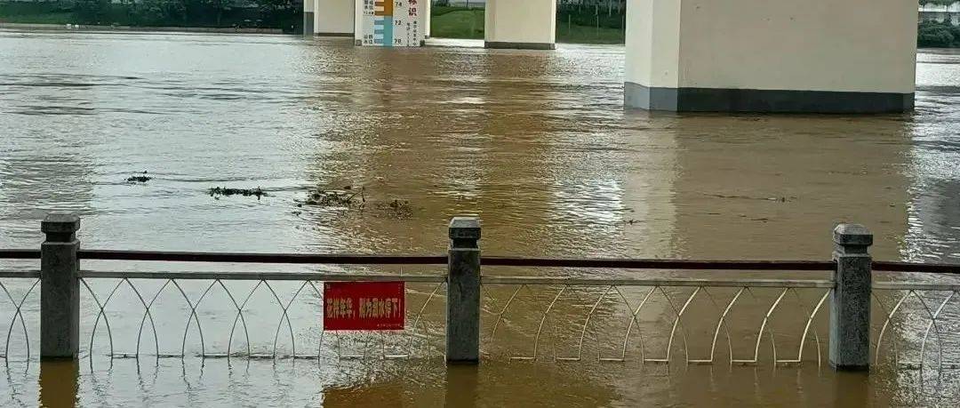 暴雨范围最广、强度最强时段就在今天白天！广西气象台发布暴雨橙色预警！平乐天气 大雨 部分 地区