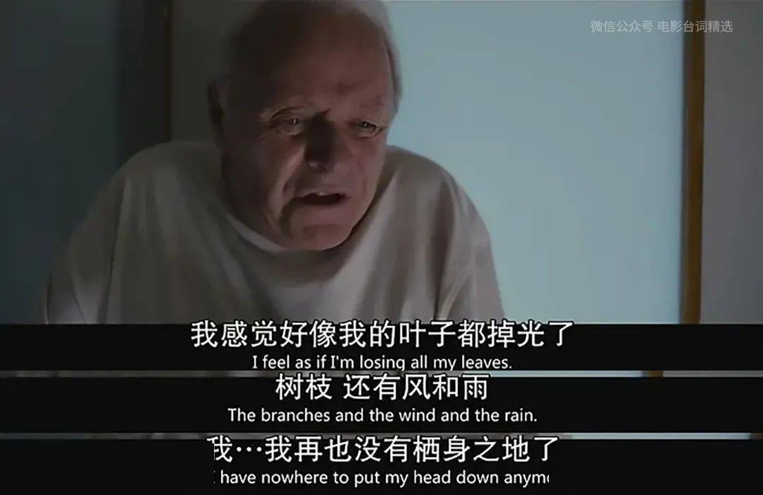 困在时间里的父亲thefather2020