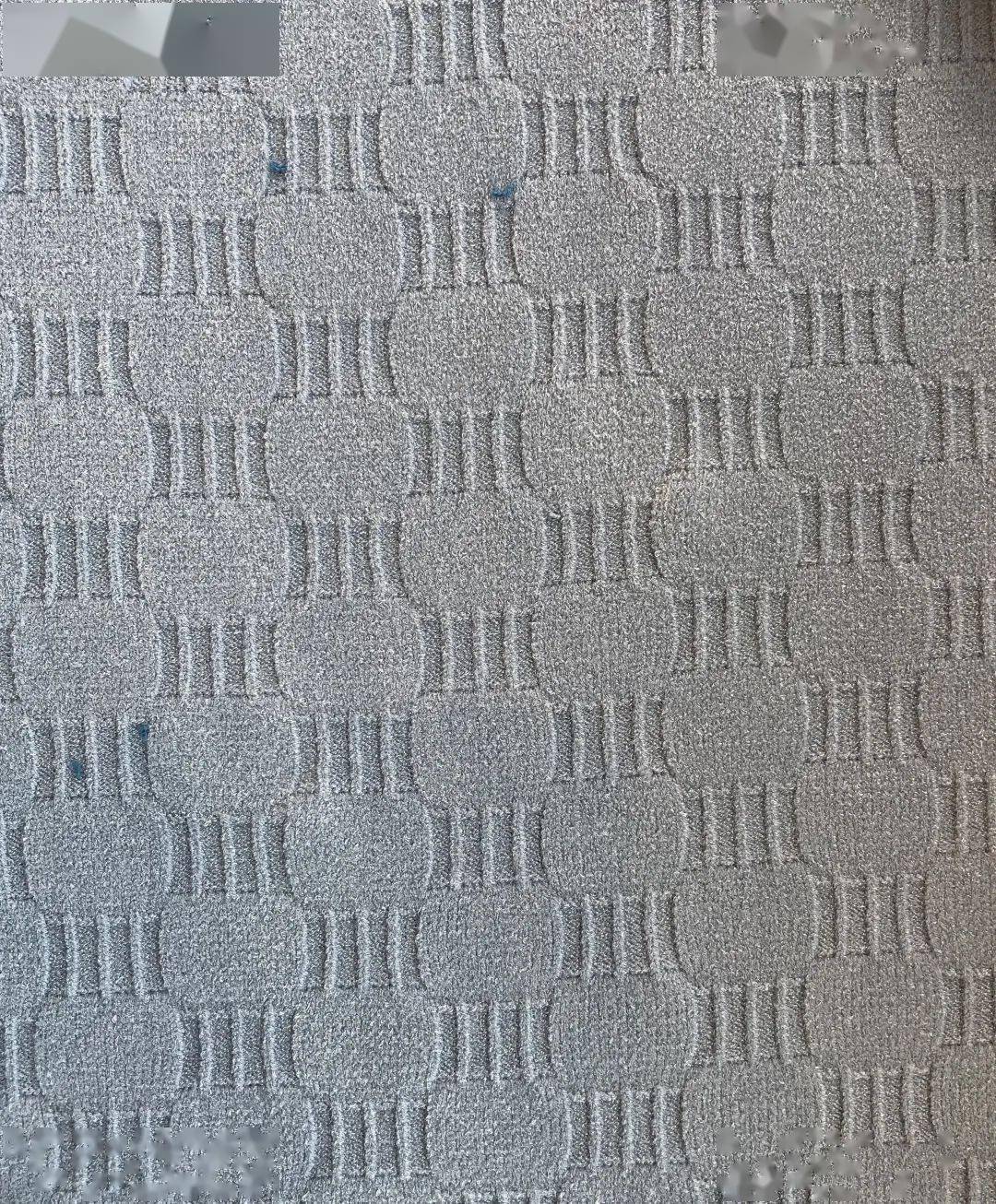 正反针组织织片1组织织片添纱组织的织物所有线圈均由两个线圈重叠而