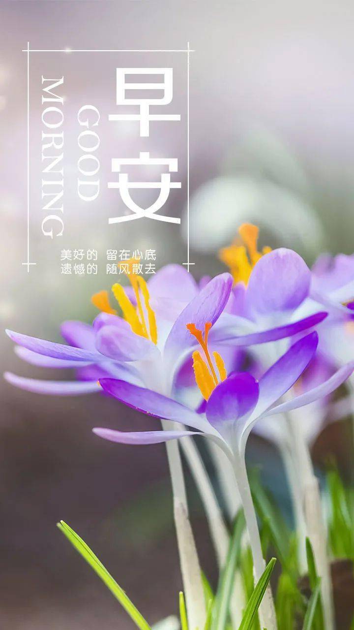 今天最新早上好问候语图片