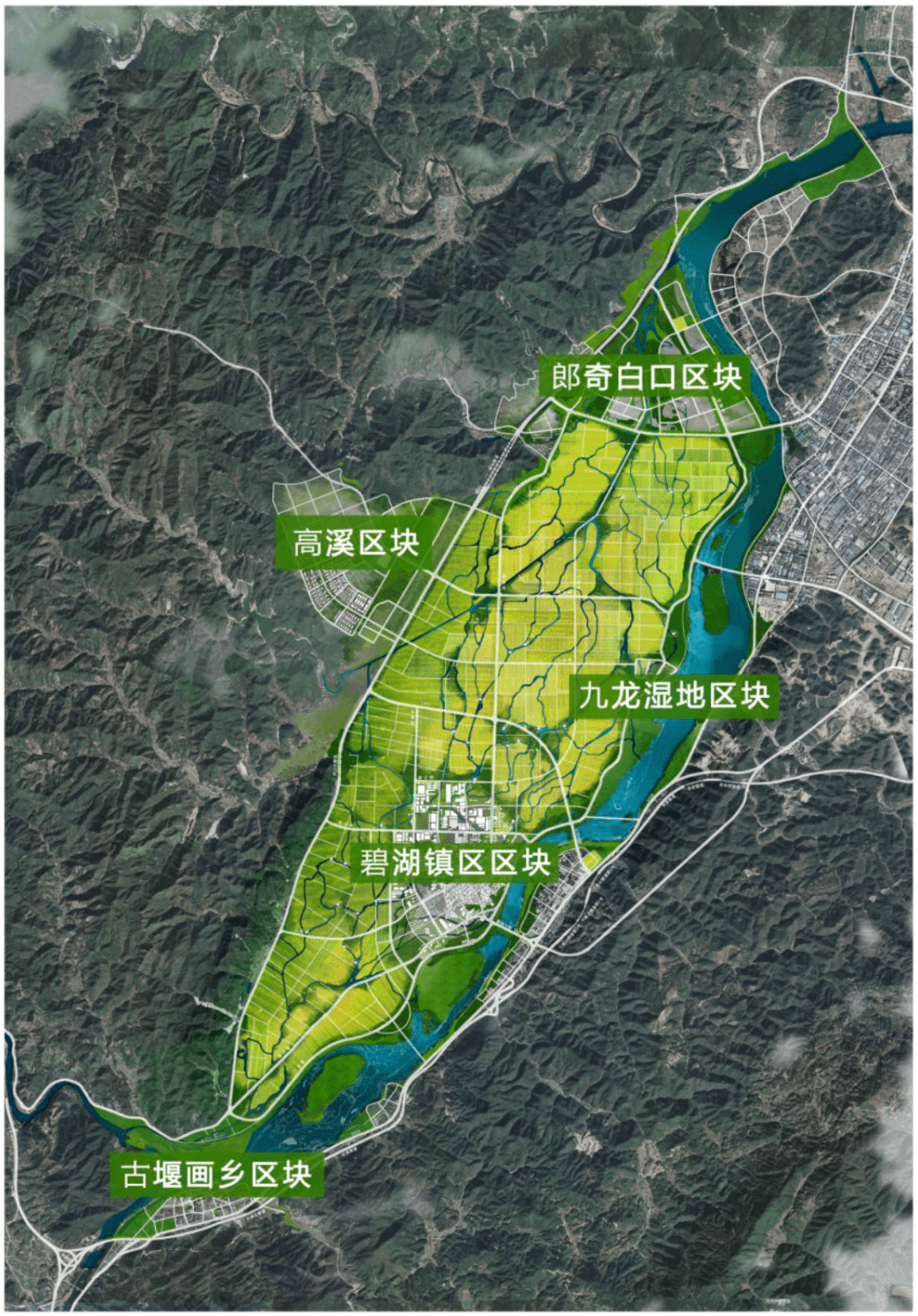 "鱼"你同框——碧湖未来新城全省摄影大赛征稿启事_丽水_莲都区_作品