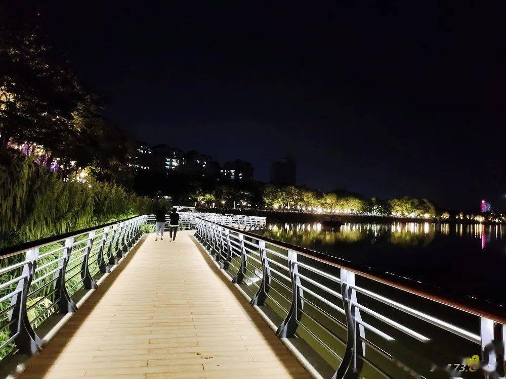 太美了增城网红夜景刷爆抖音