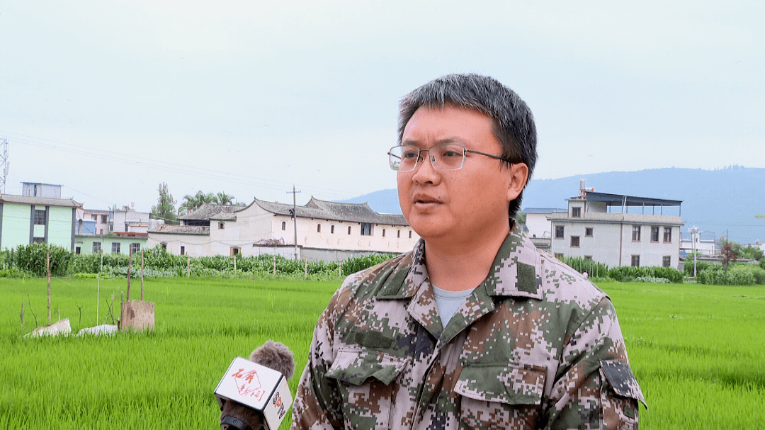 只为异龙湖水清!_工作_养殖_石屏县