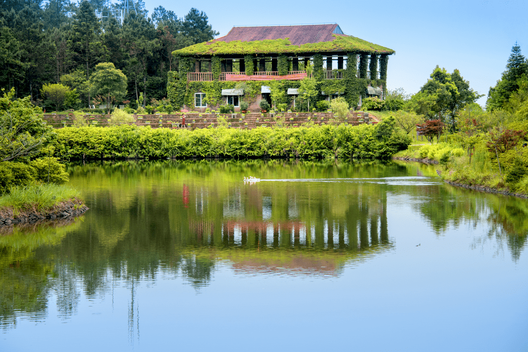 南安蓬华用活用好31全域生态旅游资源助力乡村振兴腾飞