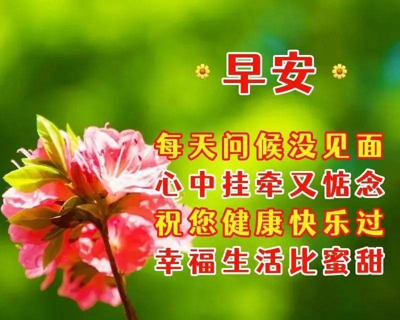 思念和牵挂的早安图片图片