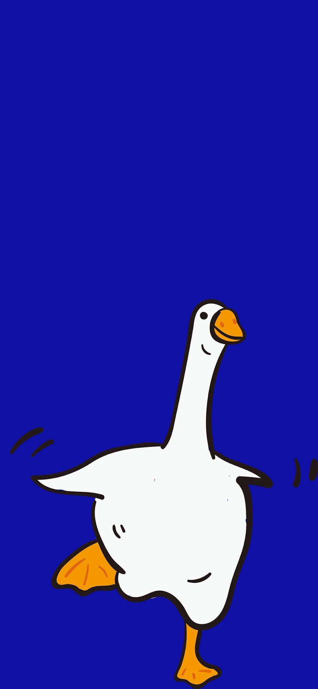 壁纸 爱我所爱 夏日愉快 冬瓜 南瓜 背景图