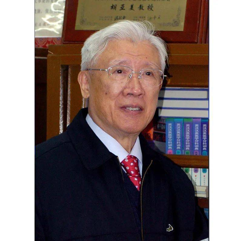 学名医典范做苍生大医潘少川让孩子们挺直脊梁