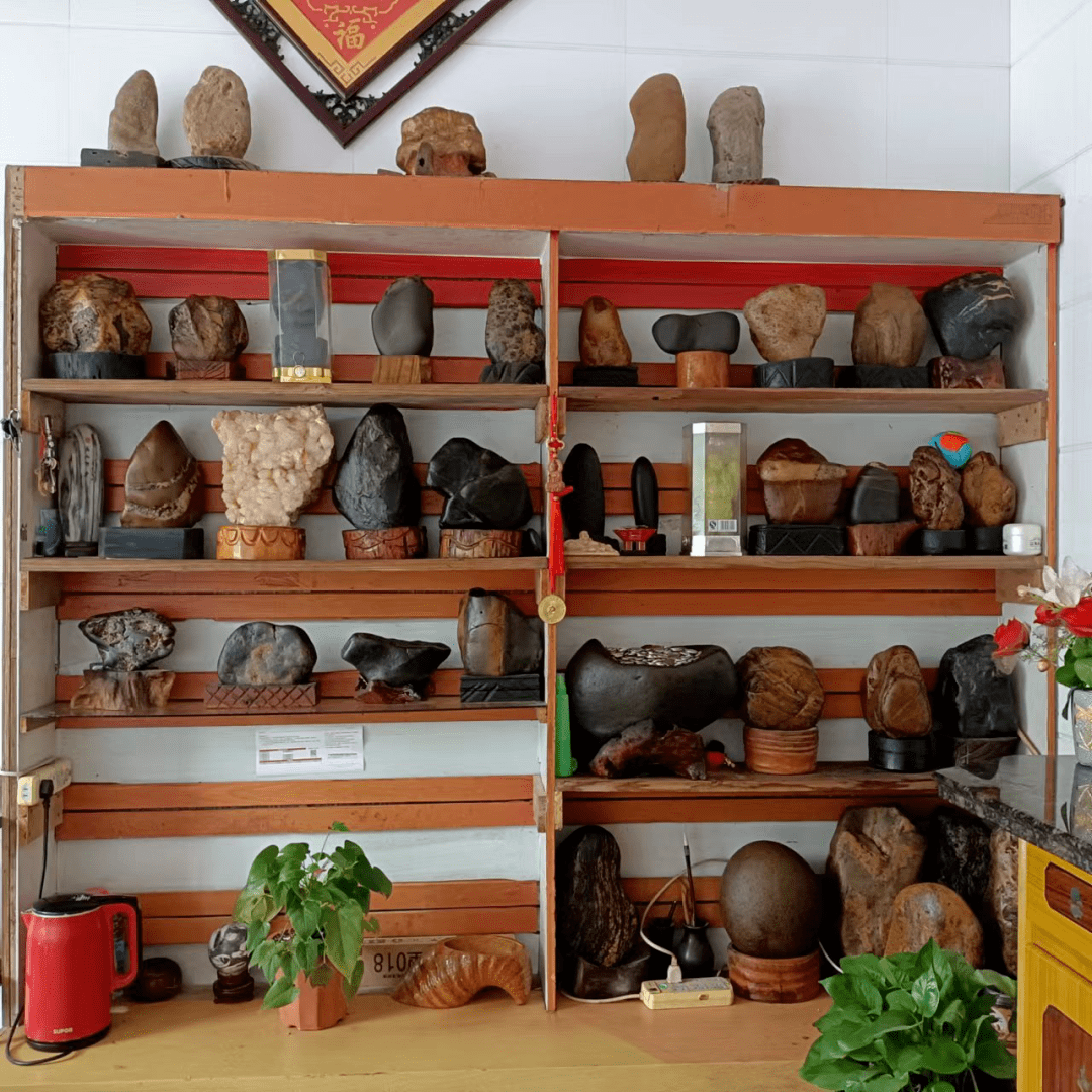 太平村坐落在建溪河畔,李启剑常去河滩上搜寻奇石,他家的展示柜上珍藏