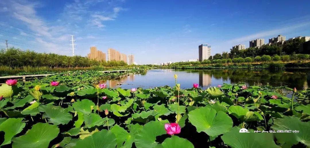 杜鹃河,白鹭河)贯通工程,河道治理整治工作,湿地公园建设以及城市精细