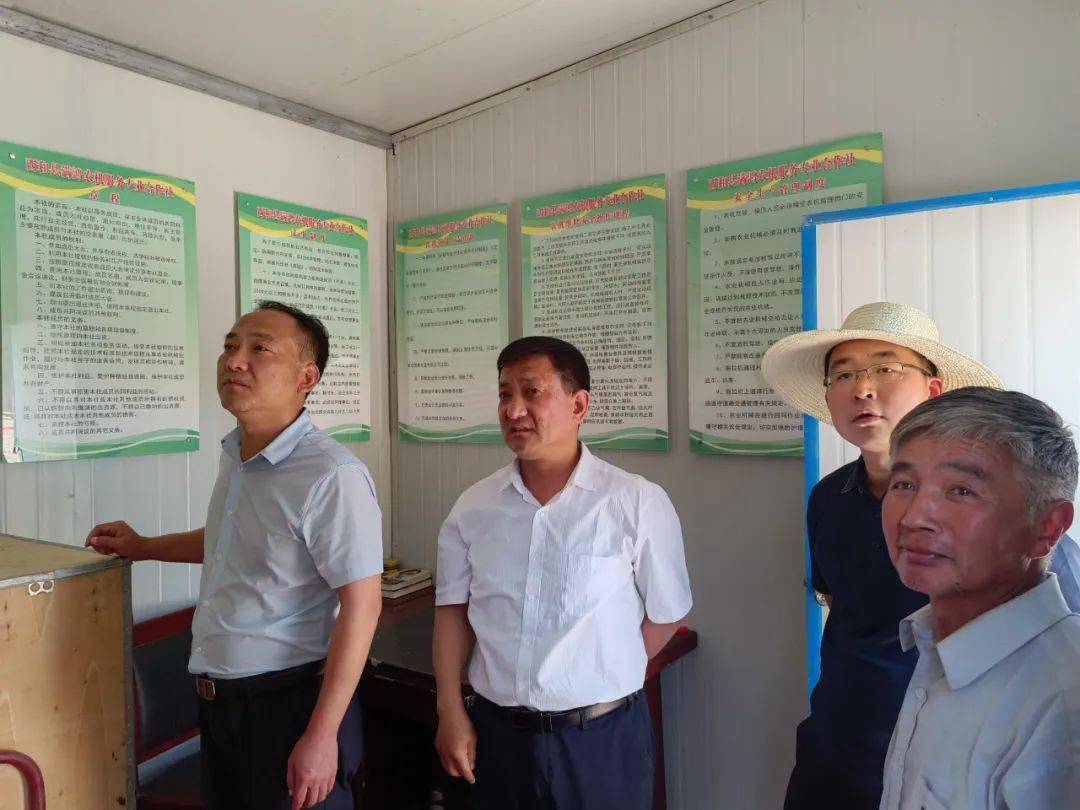 【苏合动态】西和县满鸿农机服务专业合作社揭牌成立_王平仲_农业