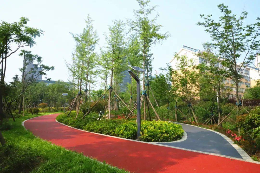文明视角日照新建街头绿地打造微幸福空间