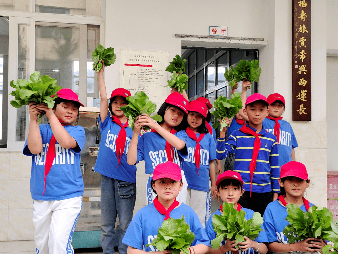 劳动实践海镜小学特色劳动教育推进双减落地生效