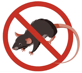 健康科普夏季炎热疾控专家教您如何防鼠灭鼠