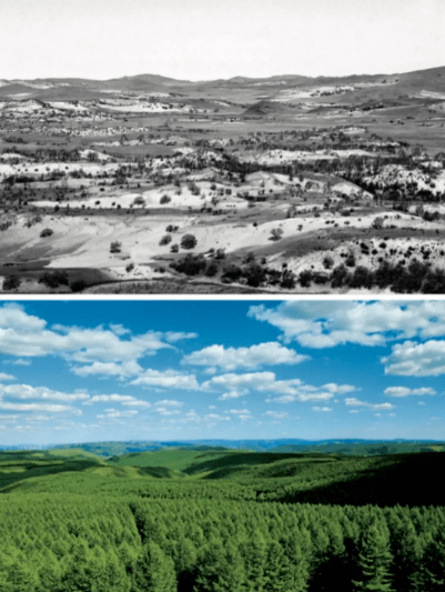 大学生起诉高校,法院判了……_毛某_塞罕坝_考试