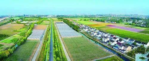 飞跃六十年飞越新农村航拍村庄善港村