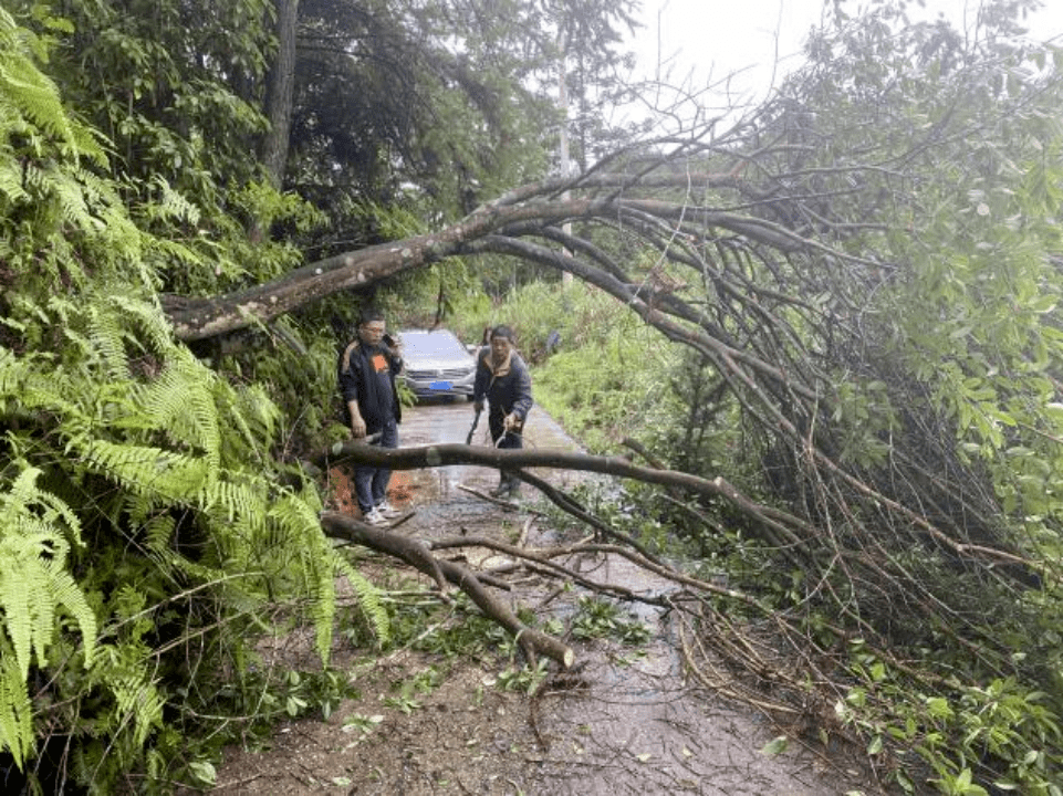 【防汛一线党旗红】赤门乡:青年志愿者用使命担当筑起"青春堤坝"