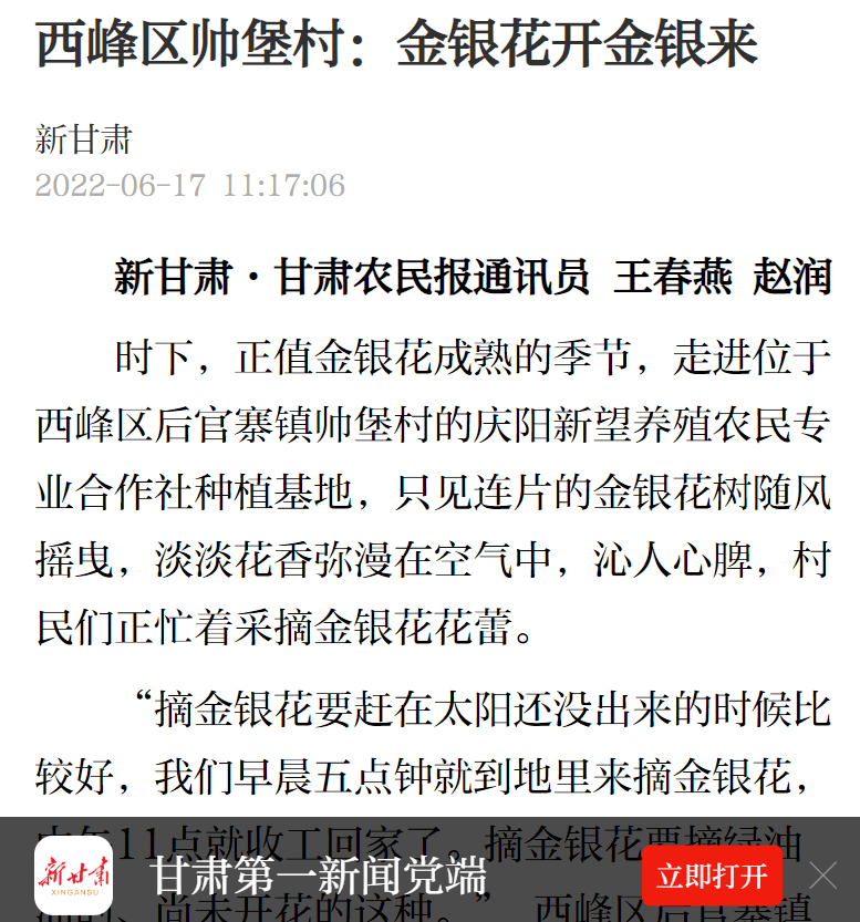 媒体看西峰西峰区帅堡村金银花开金银来