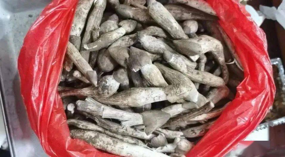 警惕！3天抢救11人，广东近期高发！_搜狐网