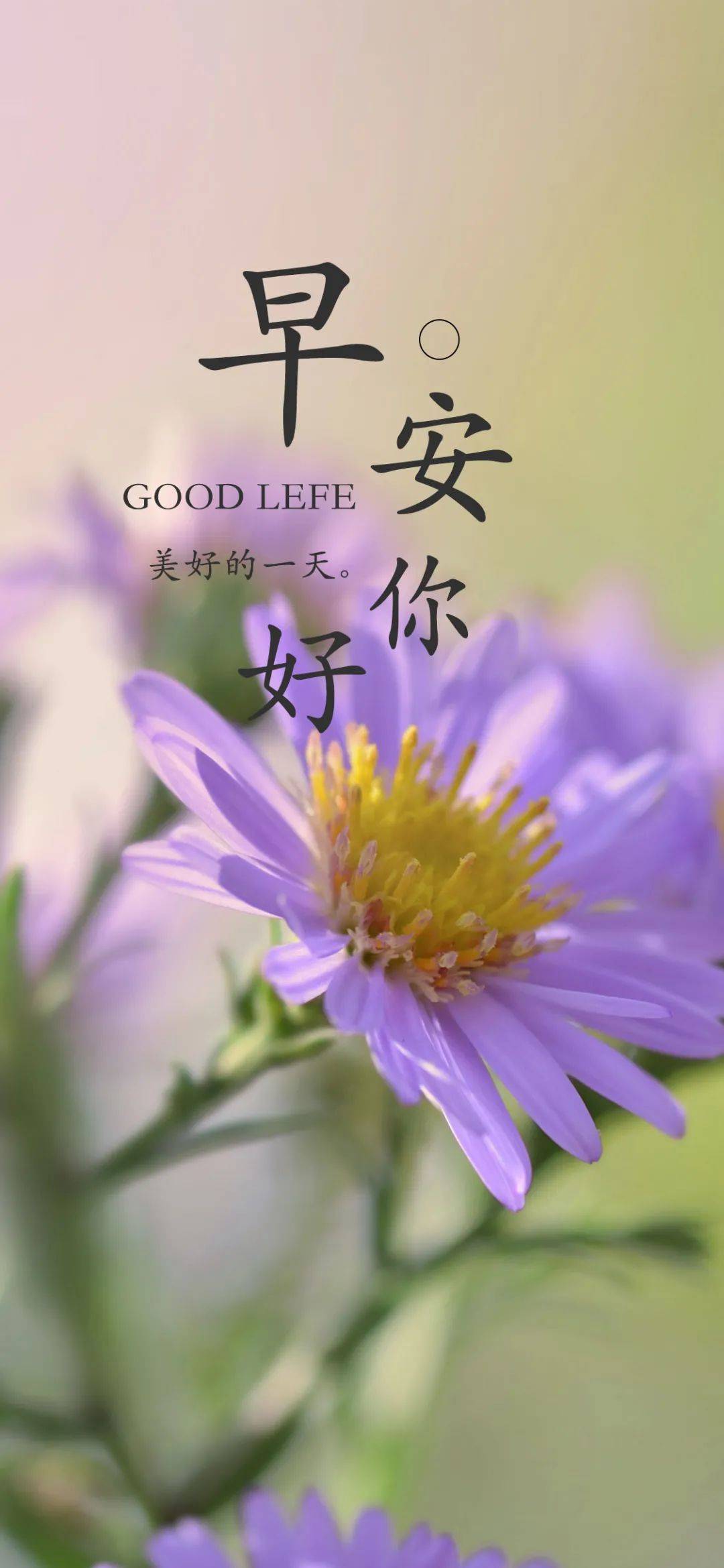 早上好，愿美好的一天属于你!_问候_安好_心情
