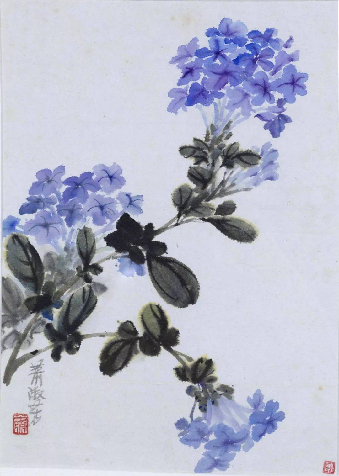 淑芳_花卉_萧友梅