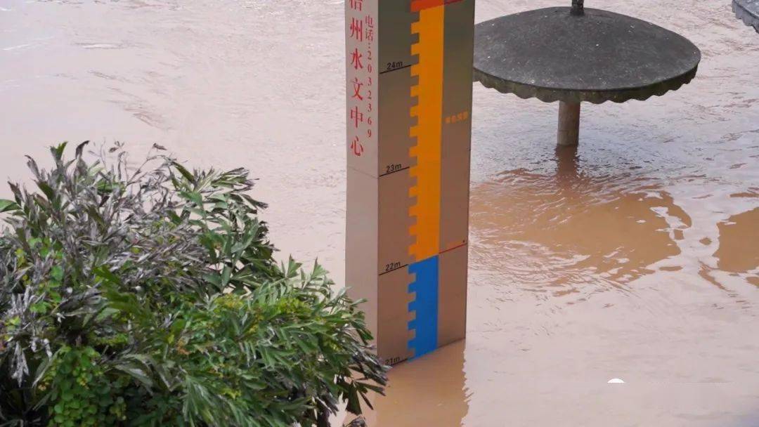 梧州水位线超警戒水位两米多,沿江凉亭只剩亭顶!
