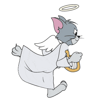 布置老鼠夹温温柔柔的天使汤姆,就连抓小老鼠都是格外的轻柔呢!