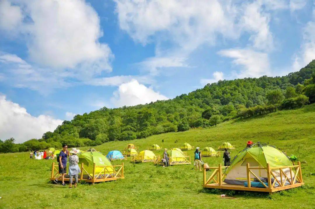 宝鸡户外露营基地评选投票开始啦