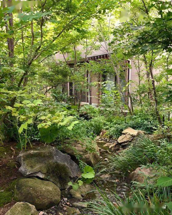 日本顶级杂木庭院500款