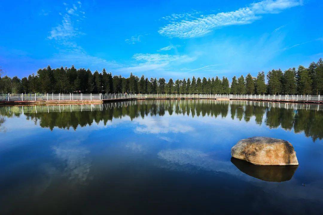 纳凉,到有故事的靖江戏鱼墩公园!