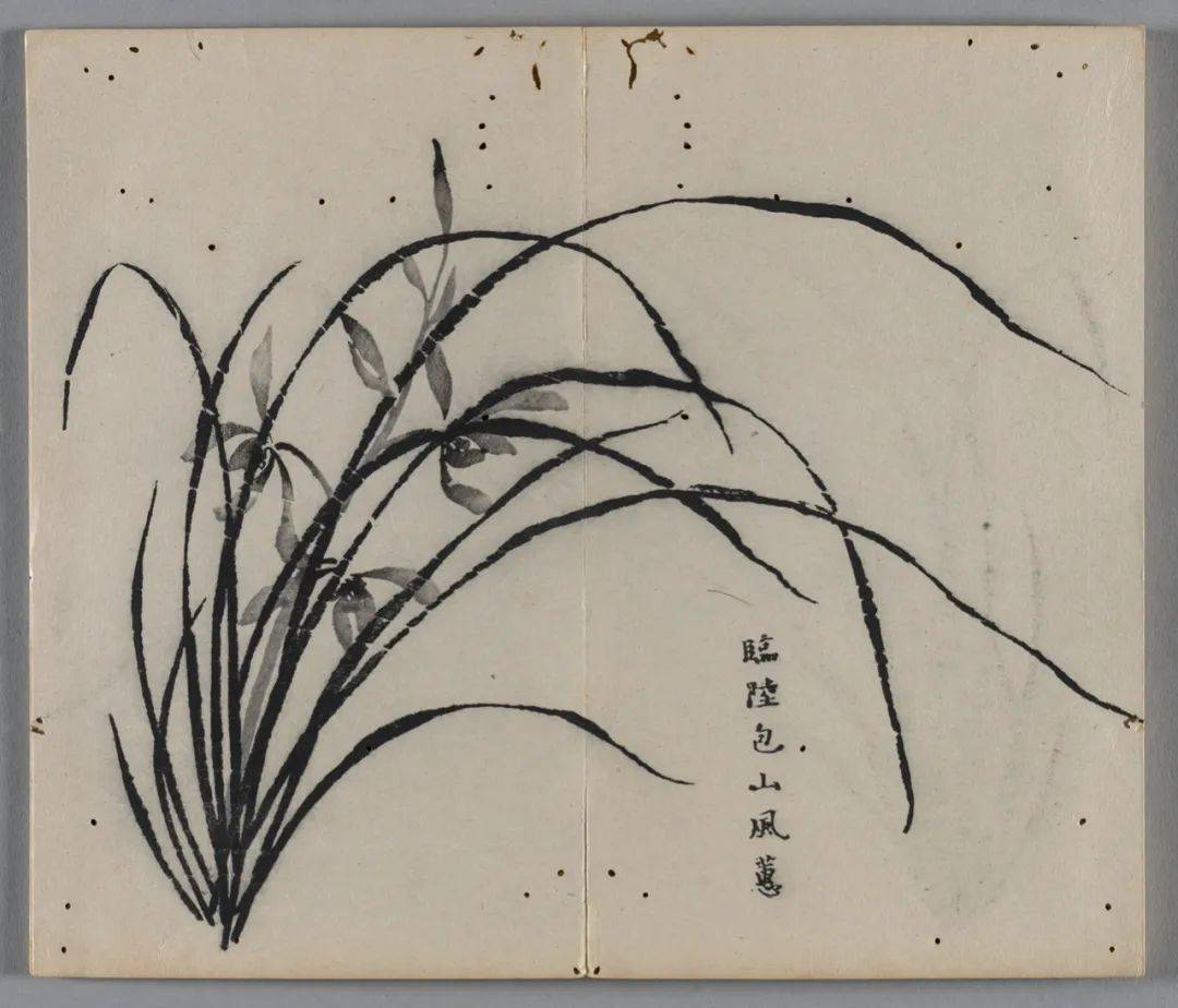 十竹斋兰谱（克利夫兰艺术博物馆藏本）_Chinese_平台_Ten