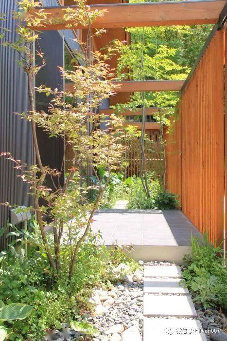 杂木飘逸,姿态优美能为庭院景观带来山野情趣,秋赏红叶秋高气爽中闲适