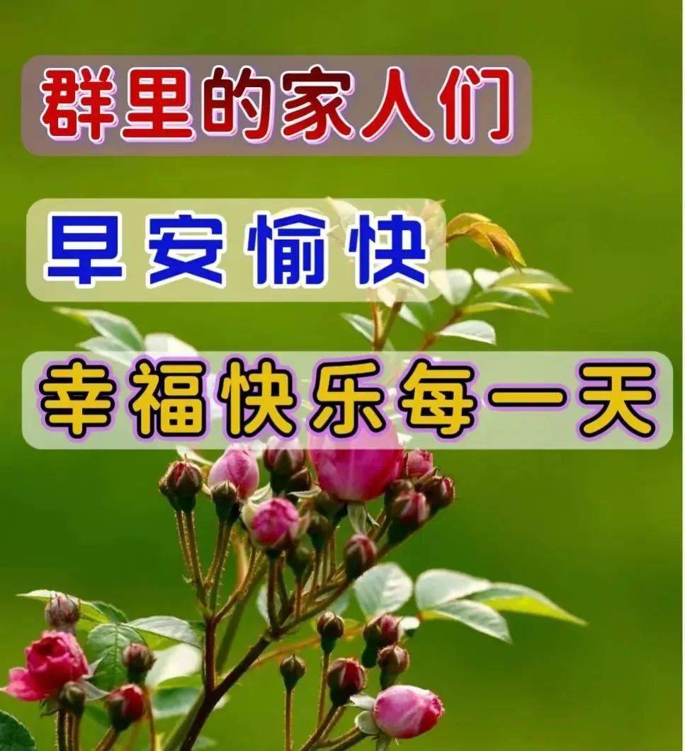 祝群主群友早上好图片图片