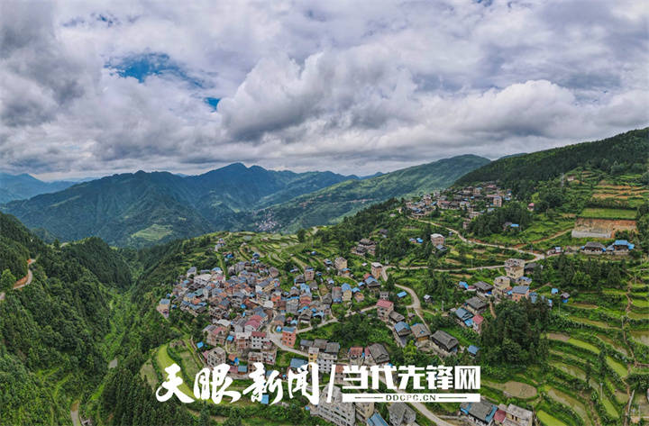 贵州剑河发展丹参产业助力乡村振兴