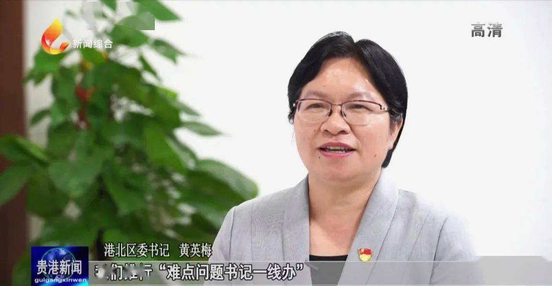 港北区委书记 黄英梅我们推行"难点问题书记一线办""区长服务企业接待