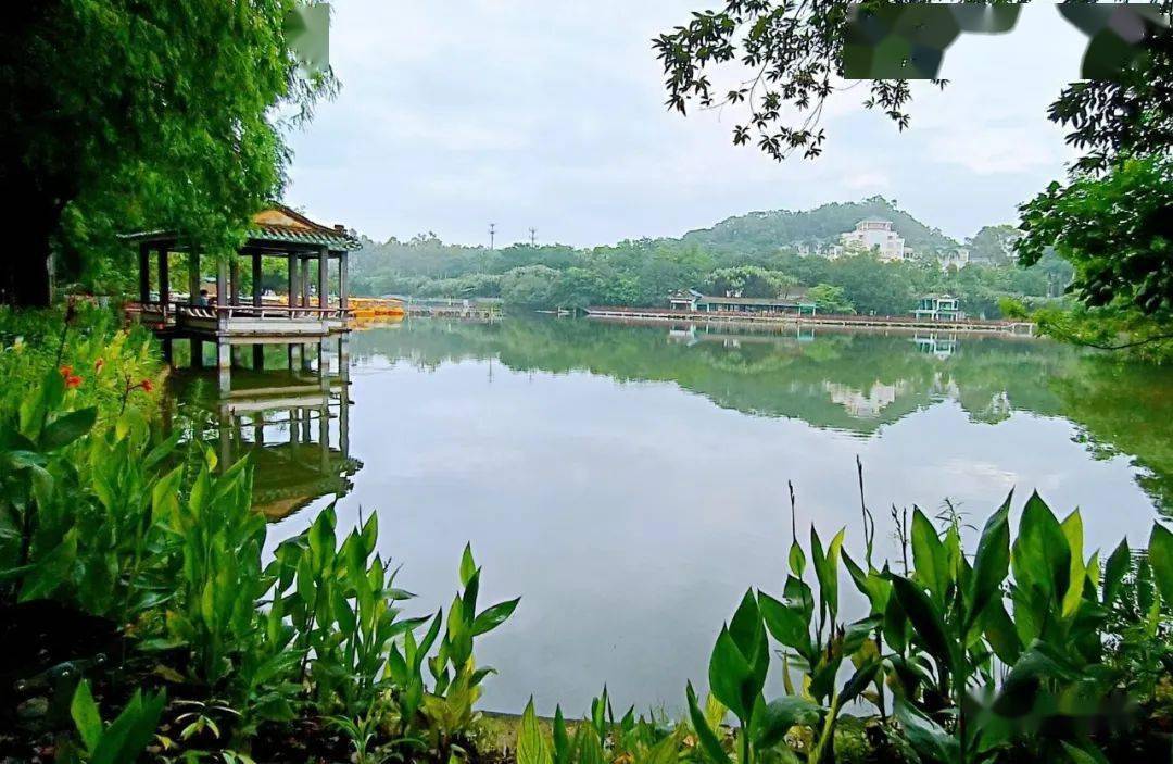 新会好风光系列航拍与摄影