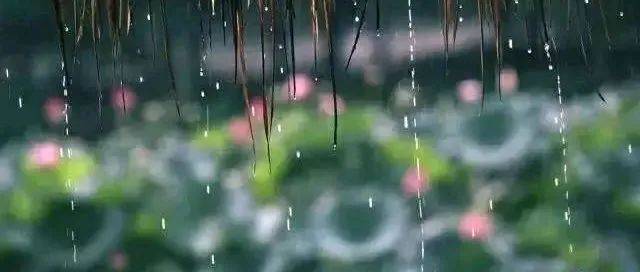 夏天的雨，落在了诗词里，美到极致_夏雨_笔下_情绪