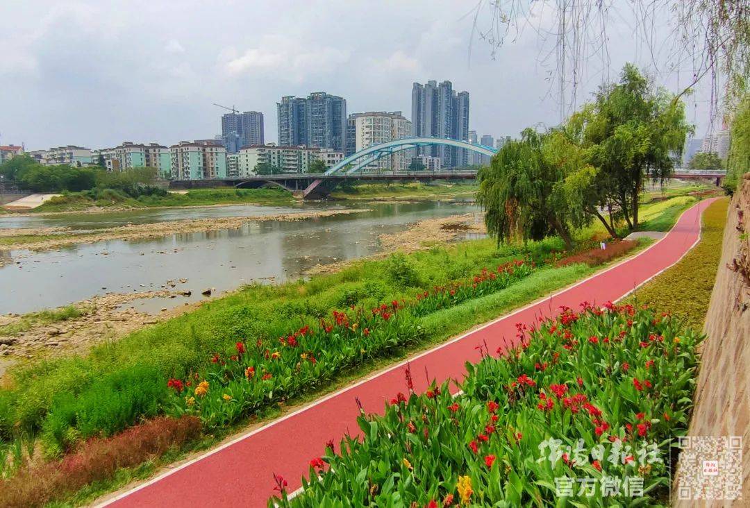 绵阳城区再添一处!_湿地_市林业局_河滩地