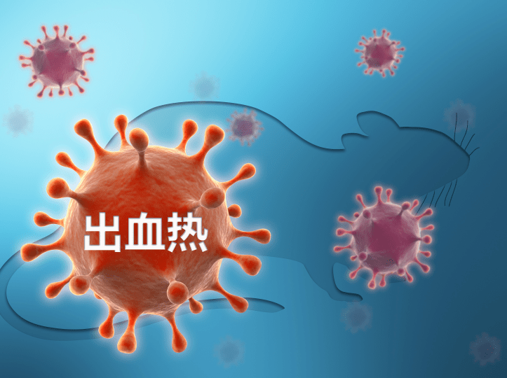 流行性出血热小知识