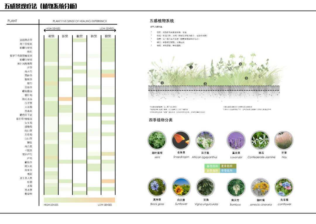 植物分析图也卷起来了_种植设计_颜色_综合类