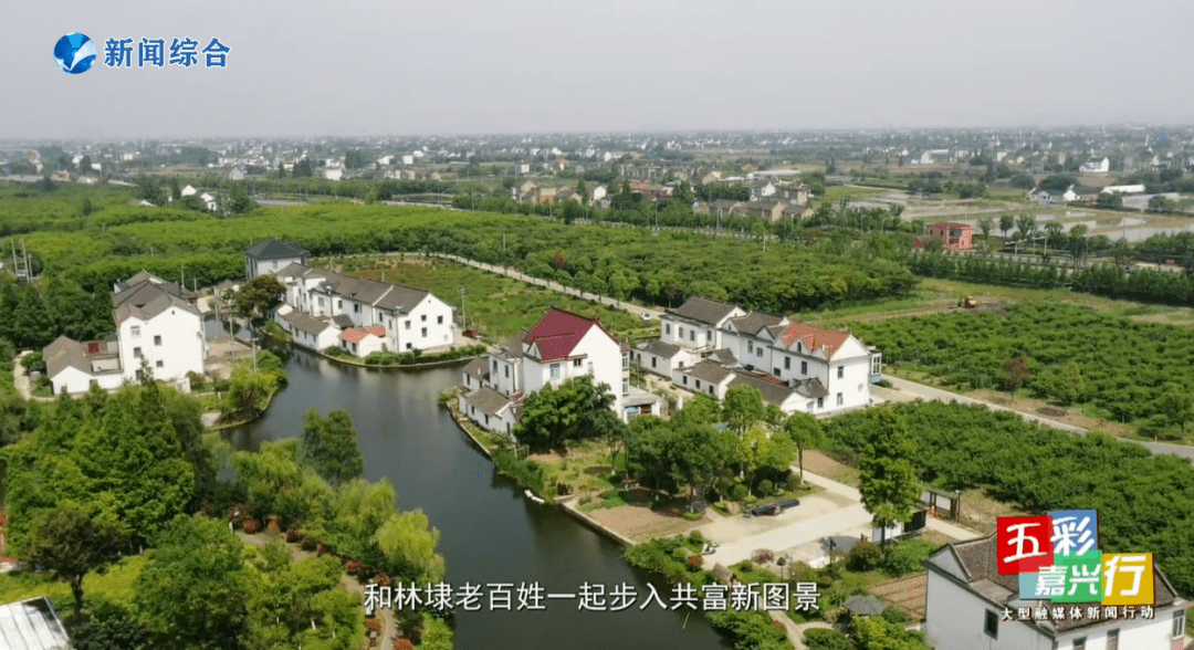 五彩嘉兴行第三季走进平湖市林埭镇主播探美镇走进展览馆对话百年巨变
