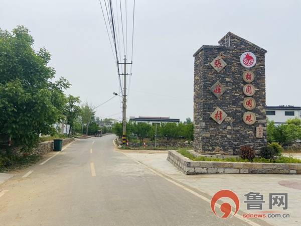 枣庄市薛城区沙沟镇聚焦特色镇突破口助力乡村振兴