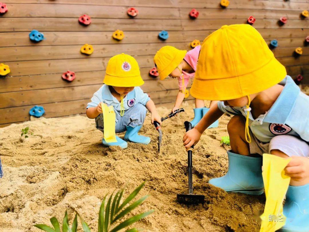 小逗逗动态沙地寻宝大作战小逗逗幼儿园小一班自主游戏活动