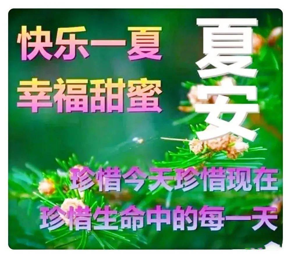 最美夏季早安问候语表情图片